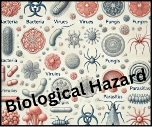 biological hazards explained